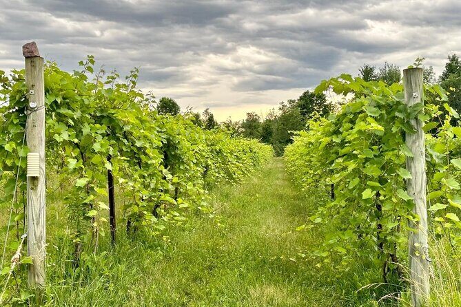 Small Group Wine & Cider Tour in Vermont - Authenticity and Practicality