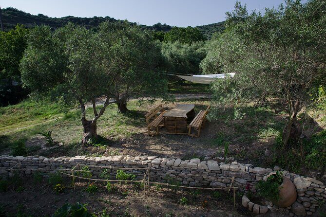 Small-Group Wine Tasting Activity in West Chania - Exploring the Experience in Detail