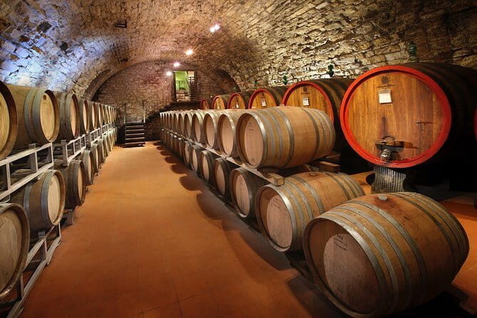 Small-Group Wine Tasting Experience in the Tuscan Countryside - An In-Depth Look at the Experience
