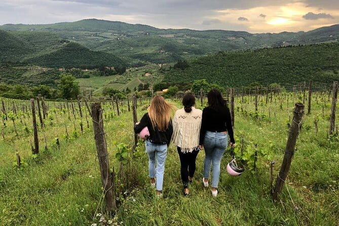 Small Group Wine Tasting in Tuscany with Vineyard Visit - The Itinerary in Detail