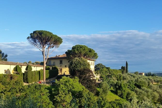 Small Group Wine Tasting in Tuscany with Vineyard Visit - The Experience for Different Travelers