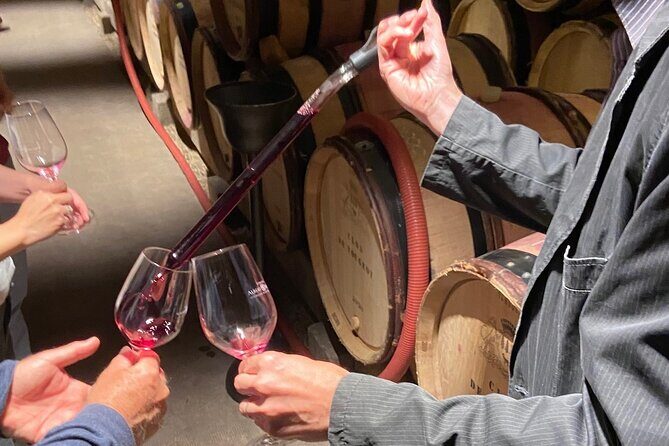 Small Group Wine Tasting Tour Côte de Beaune and Côte de Nuits - Exploring Burgundy’s Wine Regions: A Detailed Breakdown of the Tour