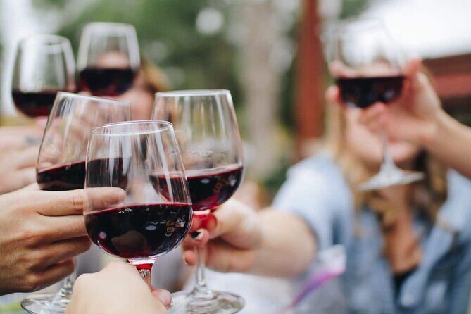 Small group Wine Tasting Tour from Lagos - Who Should Book This Tour?