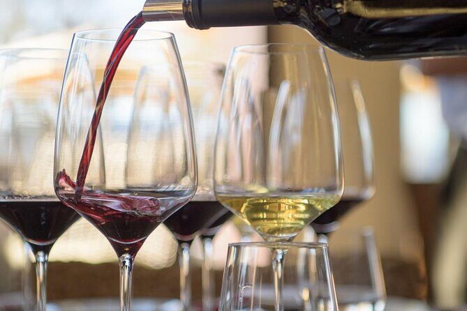 Small group Wine Tasting Tour from Lagos - Final Thoughts