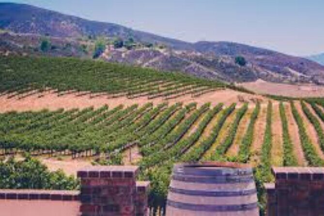 Small Group Wine Tour to Temecula from Los Angeles - An In-Depth Review of the Temecula Small Group Wine Tour
