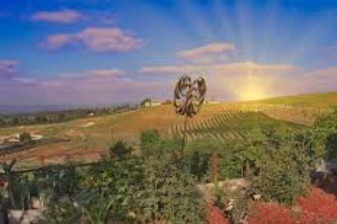 Small Group Wine Tour to Temecula from Los Angeles - Frequently Asked Questions