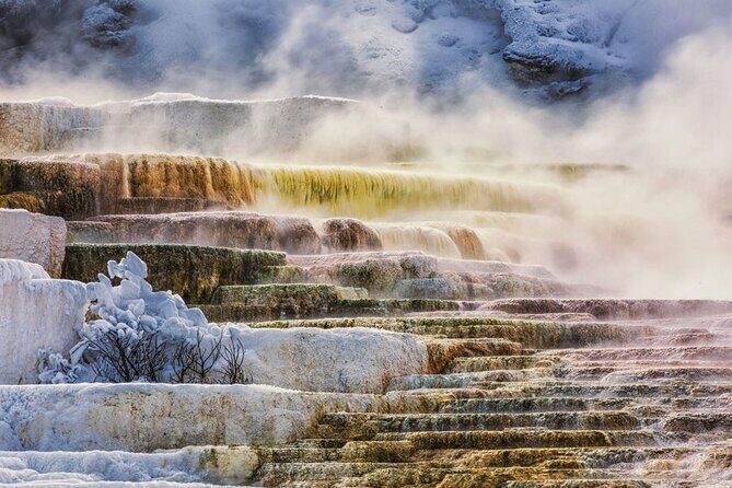 Small Group Yellowstone&Grand Teton 4-Day Tour w/2 Night Cabins - A Detailed Look at the Small Group Yellowstone & Grand Teton 4-Day Tour with Cabins