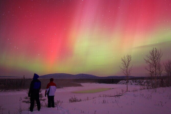 Small Group Yukon Aurora Viewing - The Sum Up