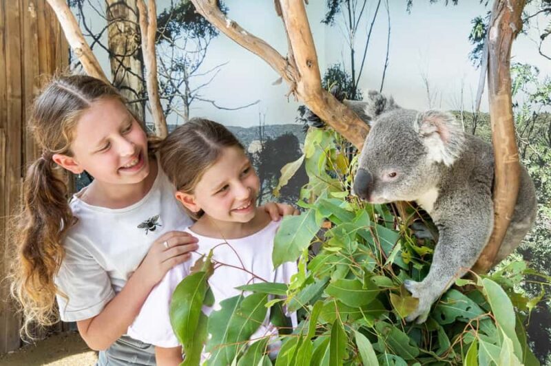 Small Group: Zoo, Blue Mountains, Scenic World Mandarin Tour - Exploring the Itinerary: What You Can Expect