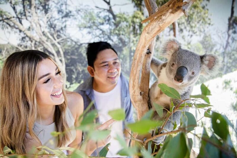 Small Group: Zoo, Blue Mountains, Scenic World Mandarin Tour - Review Highlights