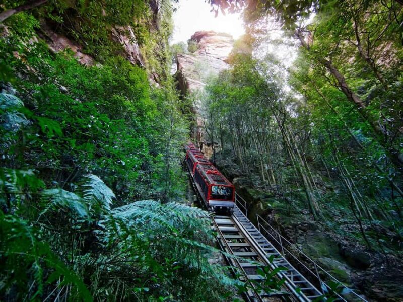Small Group: Zoo, Blue Mountains, Scenic World Mandarin Tour - Who is this tour best for?