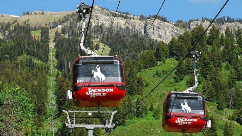 Small Group:4 or 5-Day Yellowstone&Grand Teton Tour from SLC - Key Points