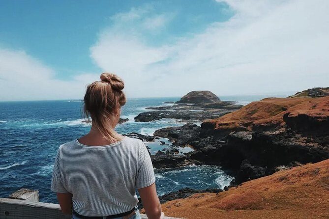 Small Tour (8 ppl) Phillip Island Hike & Penguin Parade Day Tour - Summary: The Bottom Line