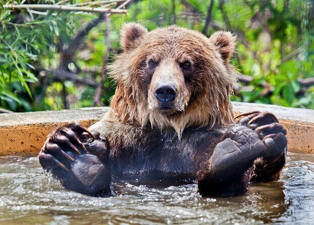 Smartphone Audio Driving Tour between Kamloops & Revelstoke - Introduction