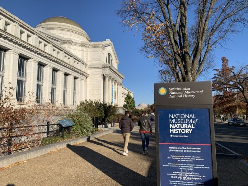 Smithsonian National Museum of Natural History Guided Tour - A Comprehensive Look at the Smithsonian Guided Tour