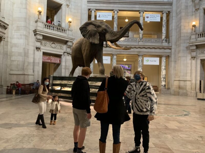 Smithsonian National Museum of Natural History Guided Tour - FAQ