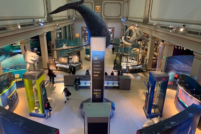 Smithsonian National Museum of Natural History with Guided Tour - Who Will Enjoy This Tour?