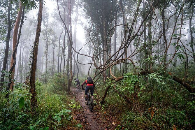 Smoke on the Water Trail Mountain Biking Tour Chiang Mai - Exploring the Smoke on the Water Trail Mountain Biking Tour in Chiang Mai