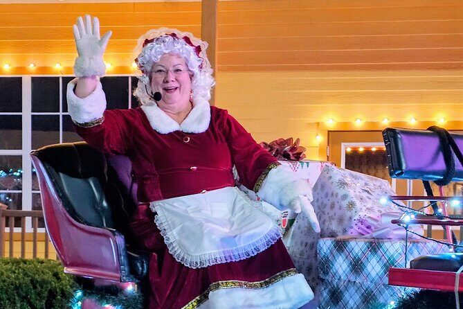 Smoky Bear Holiday Lights Tour w/ Picture Stops - Key Points