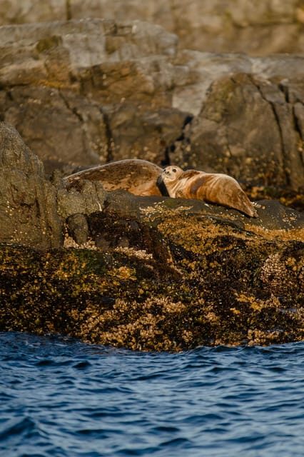 Snaefellsnes Peninsula Tour from Reykjavik - FAQ