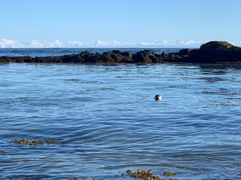 Snæfellsnes, private Super Jeep - Who Will Love This Tour?