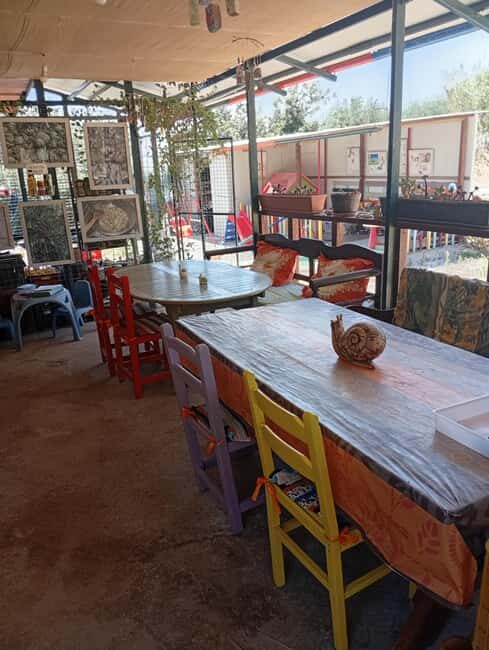 Snail and olive farm tour with table olives & homemade sweet - Key Points