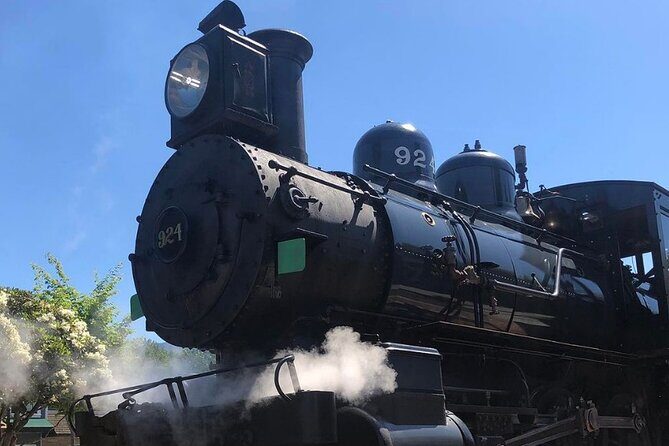 Snoqualmie Fall & Railway Museum 3-Hours (Private Tour) - An In-Depth Look at the Experience