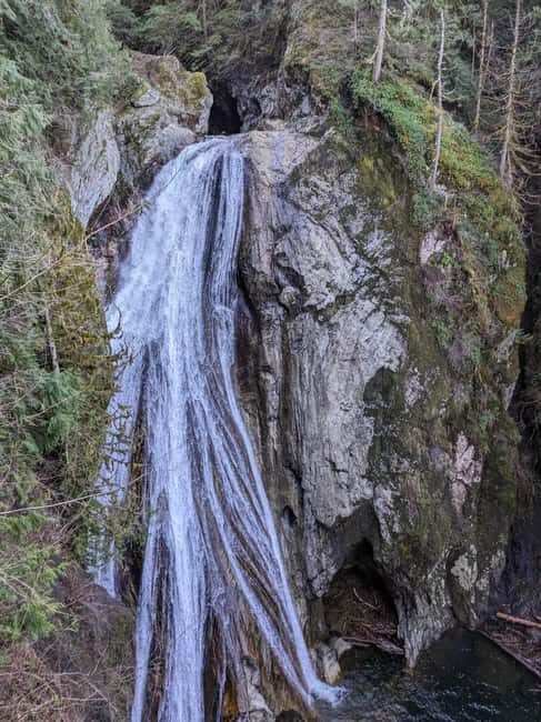 Snoqualmie, Twin Falls & Ancient Forest (Transport Included) - What to Expect from This Scenic Adventure