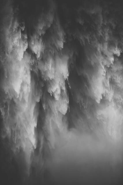 Snoqualmie, Twin Falls & Ancient Forest (Transport Included) - An In-Depth Look at the Tour Experience