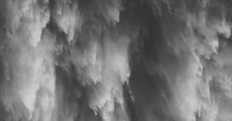 Snoqualmie, Twin Falls & Ancient Forest (Transport Included) - The Value of This Tour