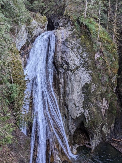 Snoqualmie, Twin Falls & Ancient Forest (Transport Included) - Final Thoughts
