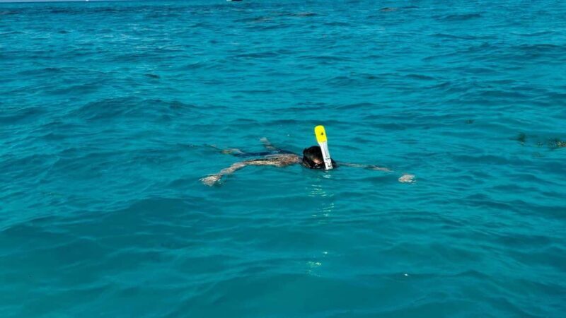 Snorkel Adventure for All Ages in Cancun 2.5 hrs - Key Points
