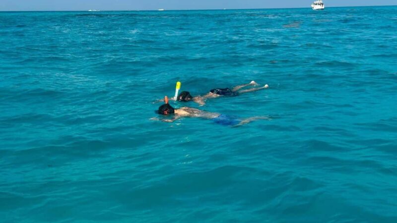 Snorkel Adventure for All Ages in Cancun 2.5 hrs - Practical Details and Logistics