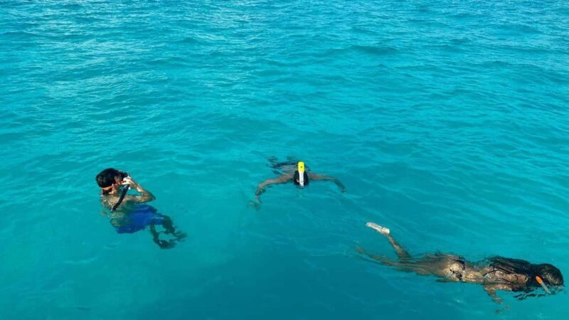Snorkel Adventure for All Ages in Cancun 2.5 hrs - Why Choose This Tour?