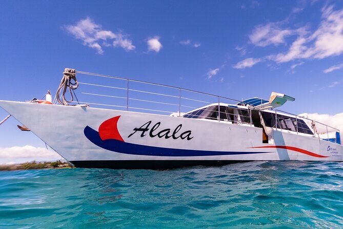 Snorkel Adventure from Kawaihae Harbor - An In-Depth Look at the Snorkel Adventure