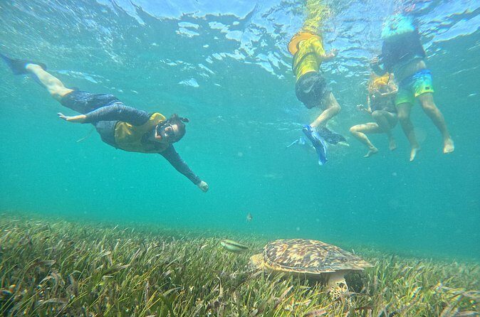 Snorkel Adventure in Cancun - The Sum Up: Is This Snorkel Tour Worth It?
