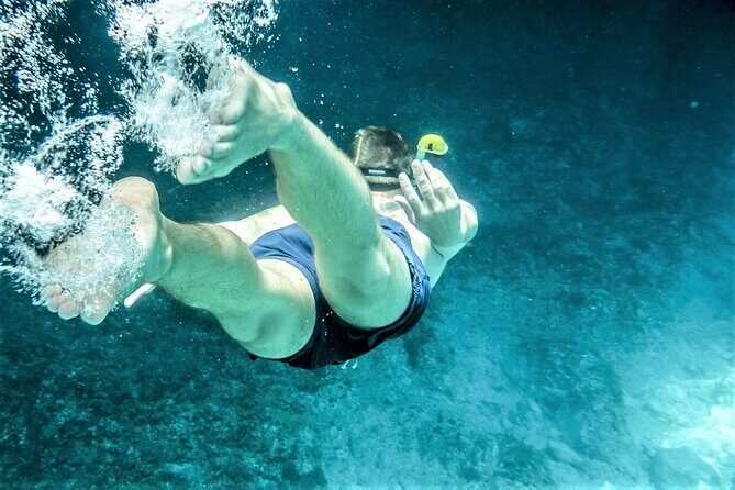 Snorkel Adventure through the Sea of Cortez - FAQs