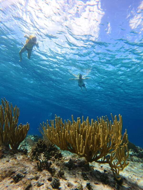 Snorkel along the coast with Chivis Del Mar. - The Guides and the Group
