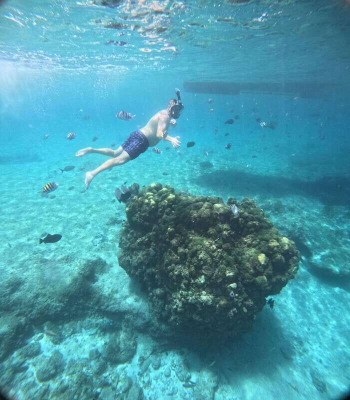 Snorkel along the coast with Chivis Del Mar. - What’s Included & What to Bring