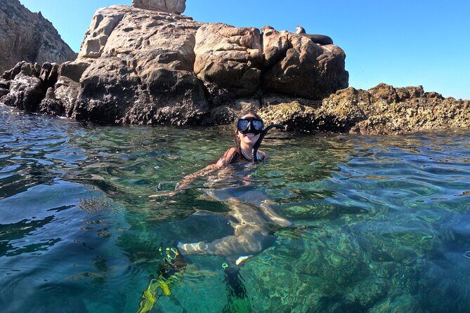 Snorkel and arch tour in los cabos - Key Points