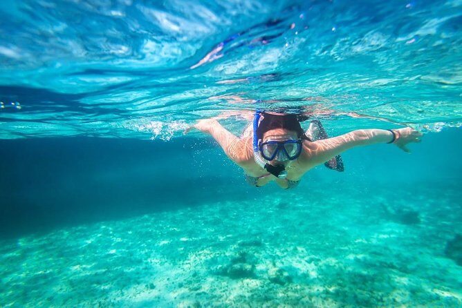 Snorkel and swim in Cozumel el Cielo Reef, Palancar and Colombia - The Reefs: What Makes Each Stop Special