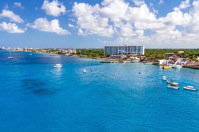 Snorkel and swim in Cozumel el Cielo Reef, Palancar and Colombia - What the Reviews Tell Us