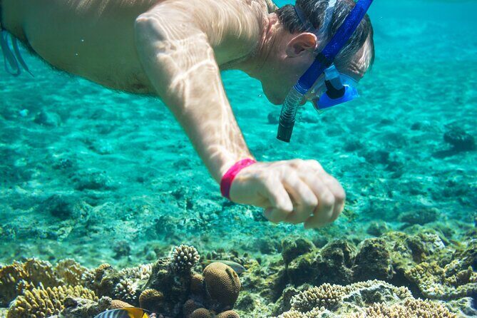 Snorkel and swim in Cozumel el Cielo Reef, Palancar and Colombia - The Sum Up: Who Will Appreciate This Tour?