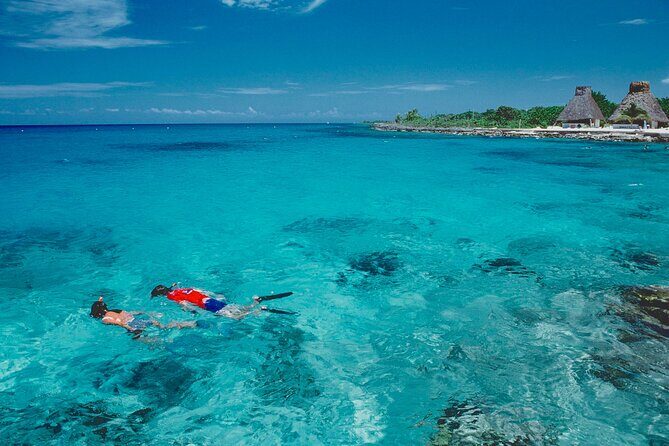 Snorkel at El Cielo in Cozumel with 2 more Reefs with Round Trip - Authentic Feedback from Similar Tours