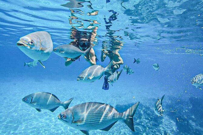 Snorkel at El Cielo in Cozumel with 2 more Reefs with Round Trip - Concluding Thoughts: Is This Tour Value for Money?