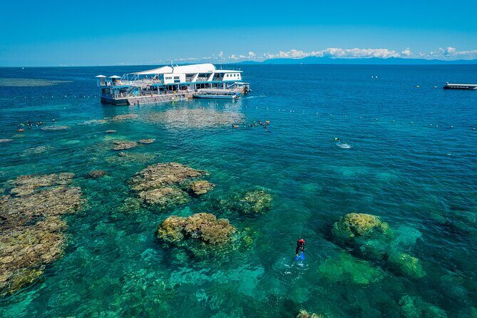 Snorkel & Dive the Reef: Sustainable, Scientific & Cultural Tour - Introduction: Why This Tour Might Be Just Right for You
