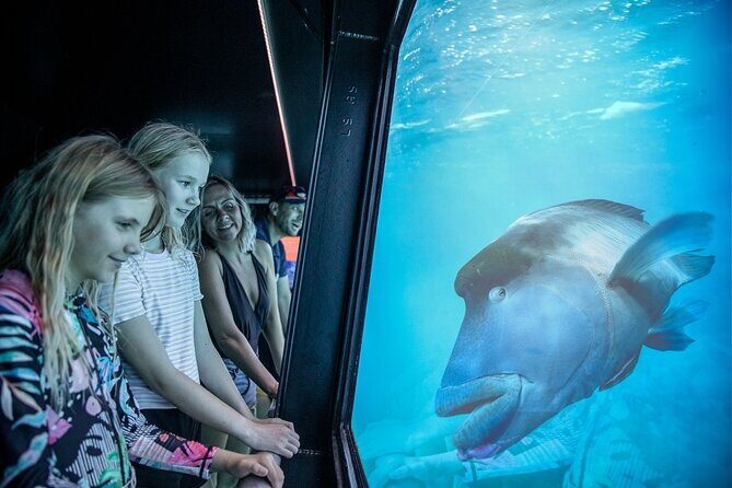 Snorkel & Dive the Reef: Sustainable, Scientific & Cultural Tour - Authenticity and Environmental Responsibility