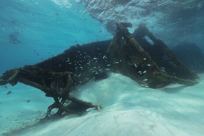 Snorkel Experience In Cancun! Reef and Sunken Ship - Introduction: A Snorkeler’s Dream in Cancun