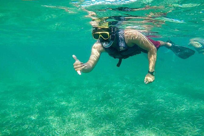 Snorkel Experience In Cancun! Reef and Sunken Ship - Key Points