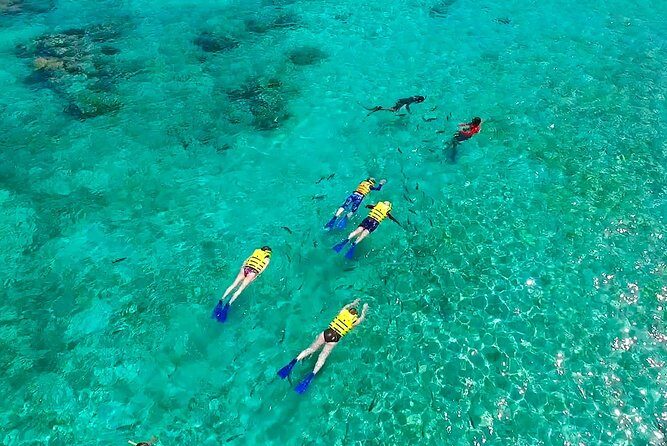 Snorkel Experience In Cancun! Reef and Sunken Ship - Who Will Love This Tour?